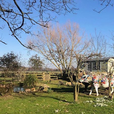 The Shepherd'S Hut @ Chichester Cottage Exterior foto