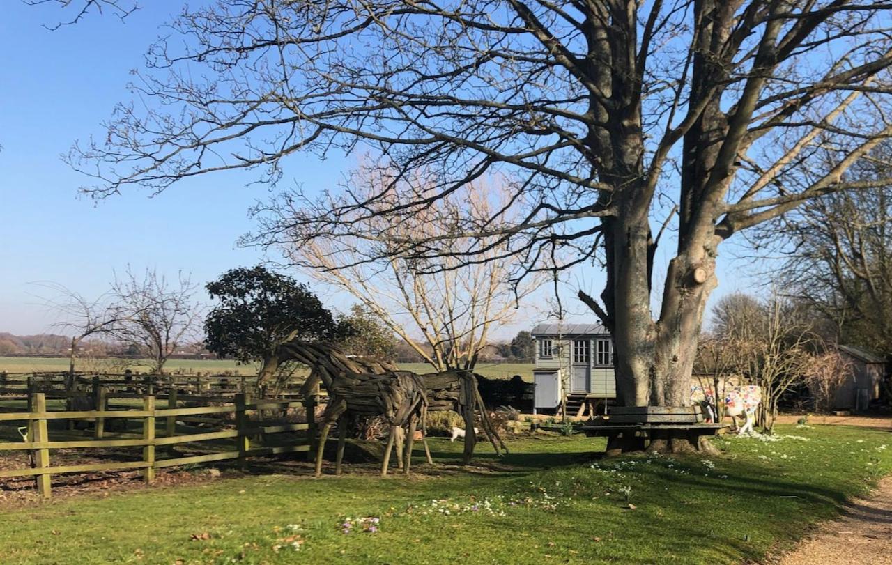 The Shepherd'S Hut @ Chichester Cottage Exterior foto